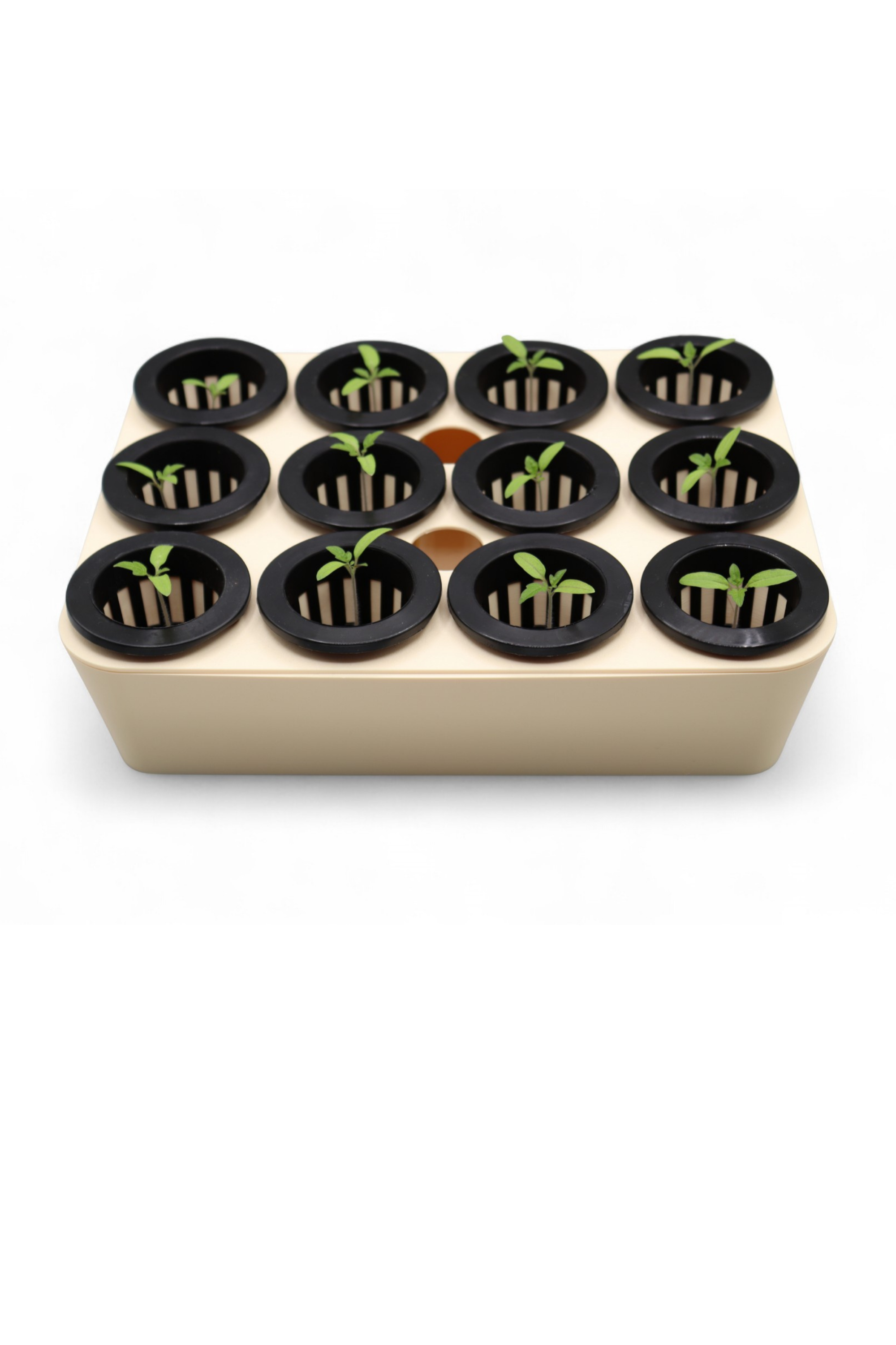 Germination Tray