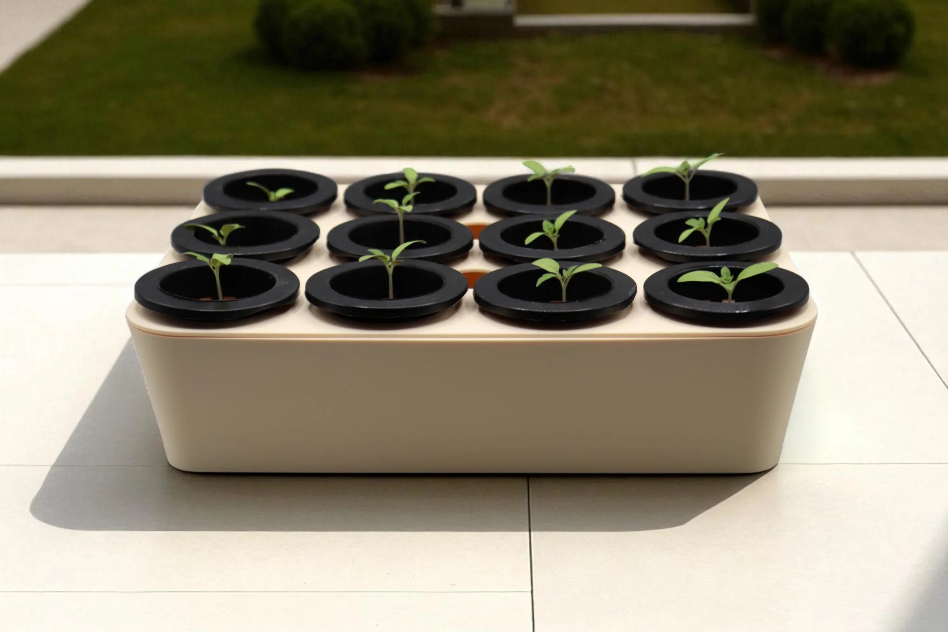 Germination Tray - Stack Gardens