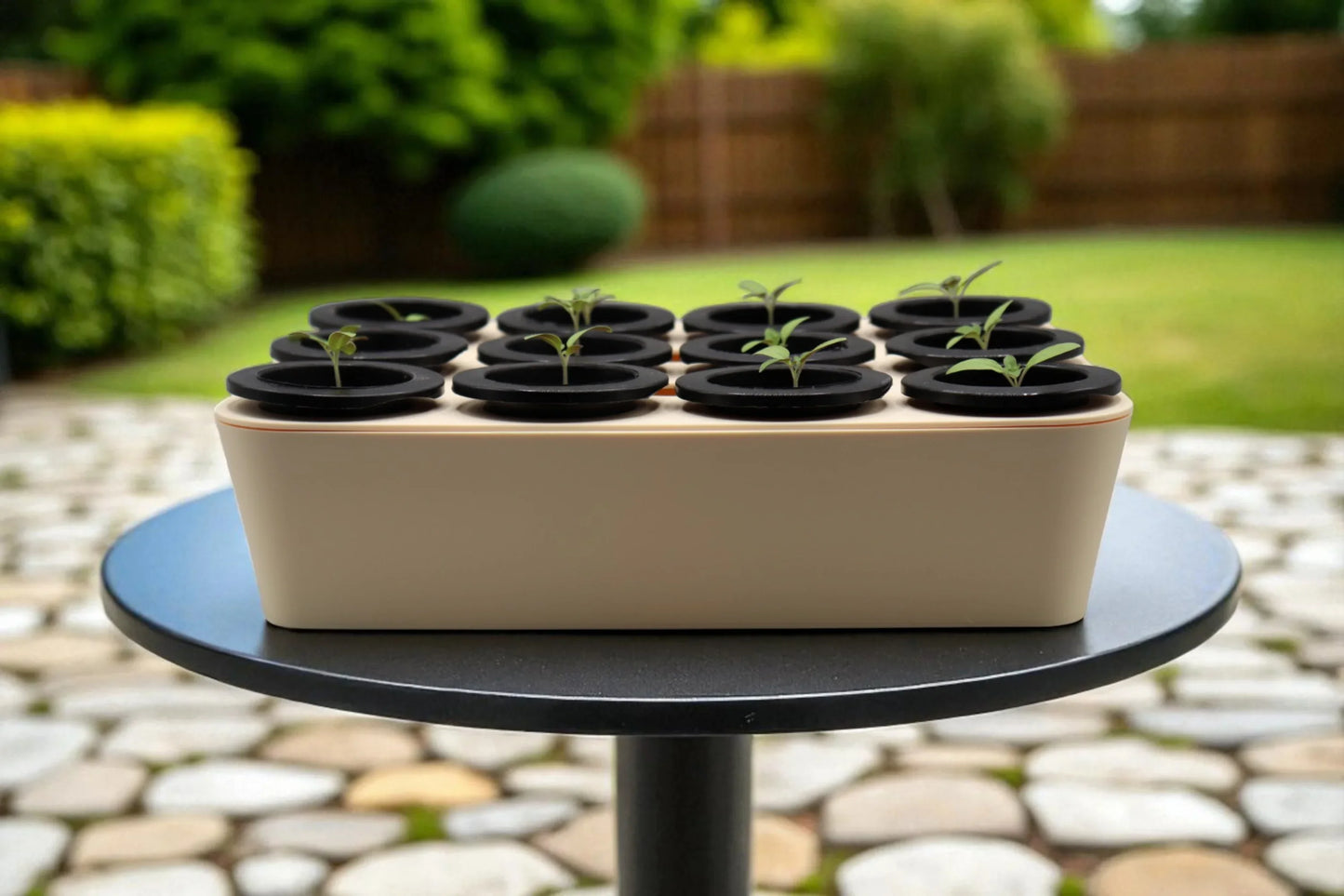 Germination Tray - Stack Gardens