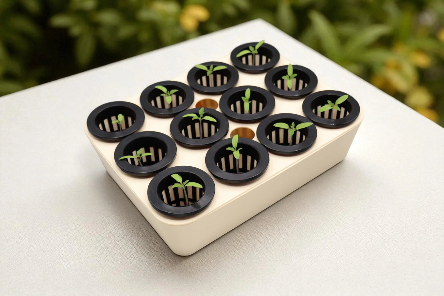 Germination Tray - Stack Gardens