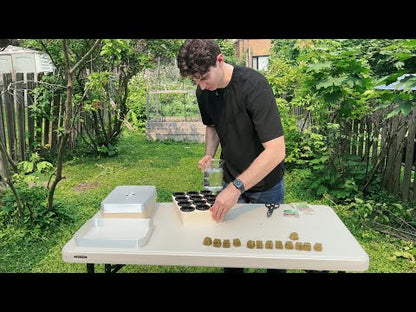 Germination Tray